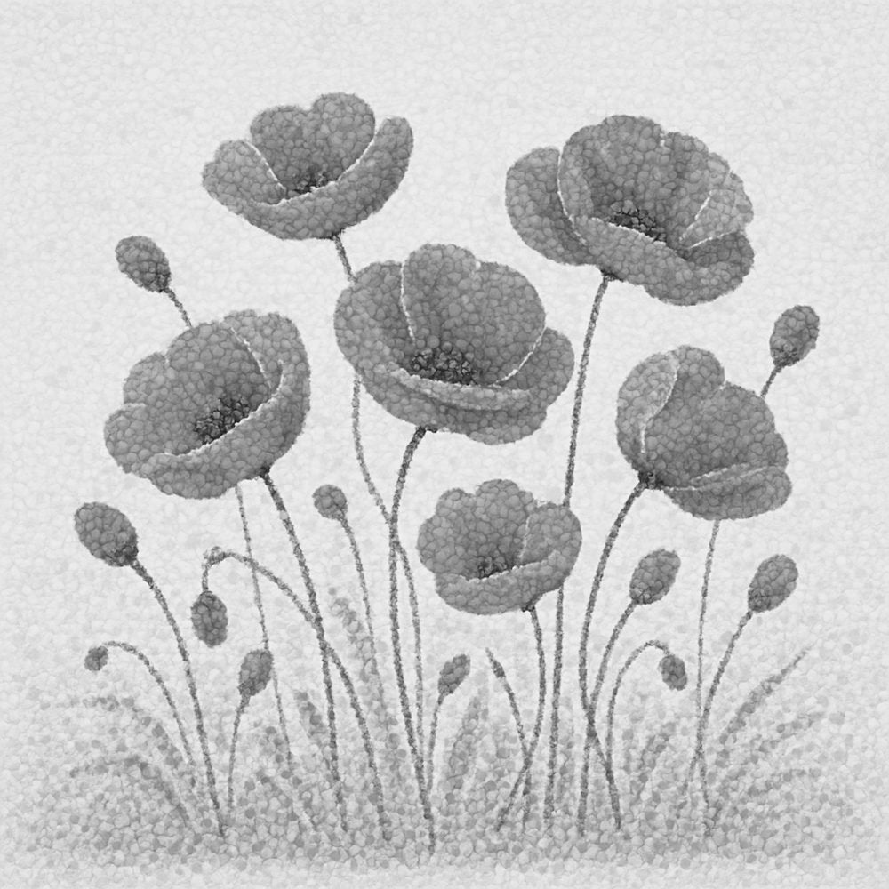 Wild Poppies