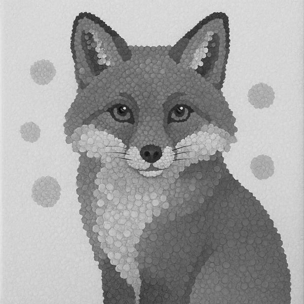 Curious Fox