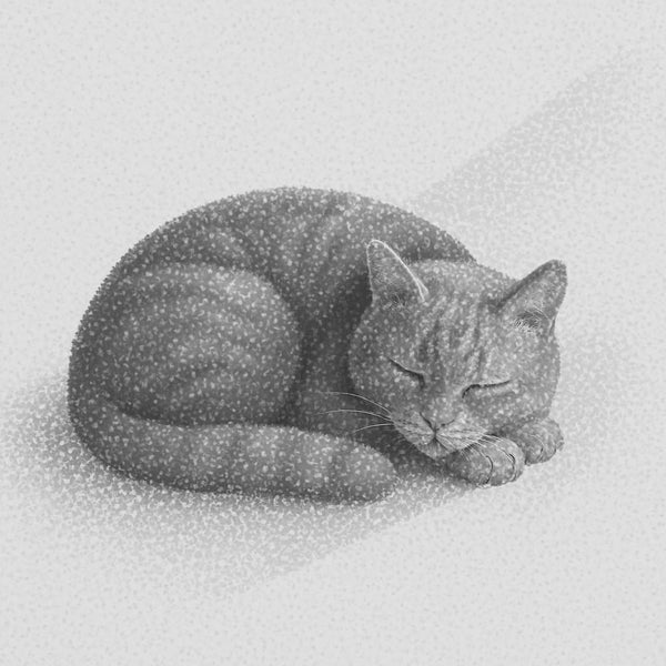Ginger Cat Nap