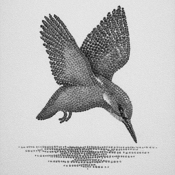 Kingfisher Dive