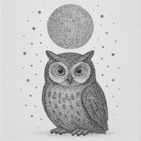 Midnight Owl