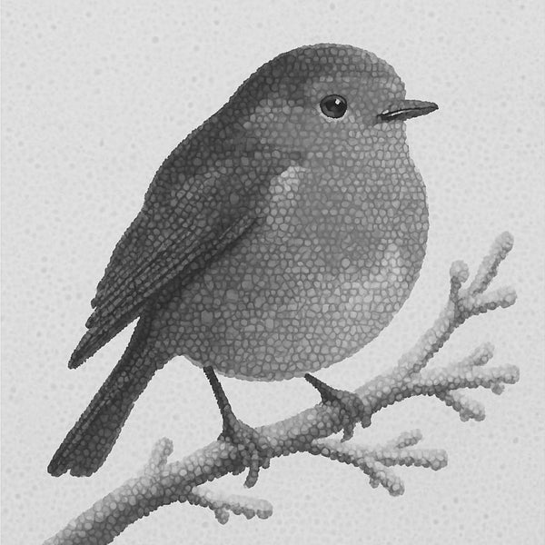 Robin in Snow