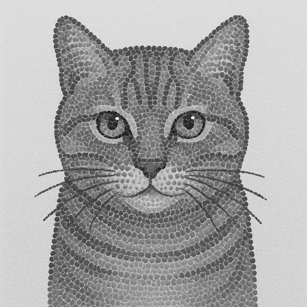 Tiger Gaze