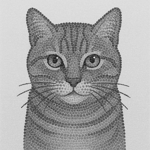 Tiger Gaze